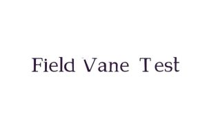 Field Vane Test (FVT)