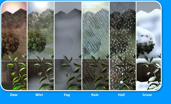 9 Different Types Of Precipitation